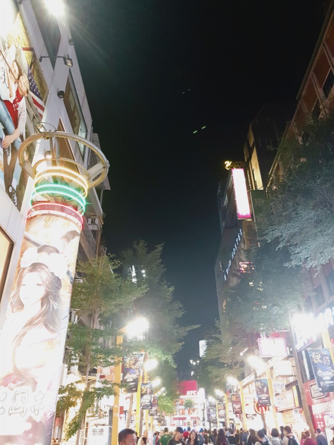  【18' 대만여행ː타이페이】 시먼 용산사 까르푸 화시지예 야시장