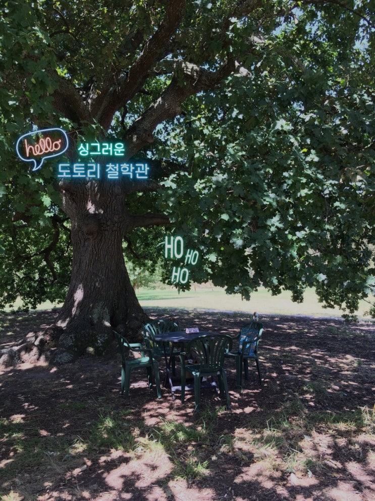  도토리 철학관 소개