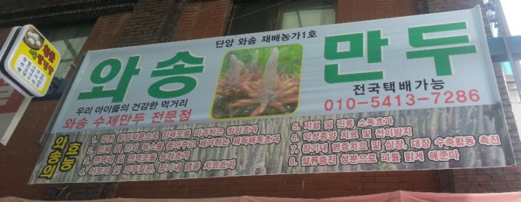  단양만두 단양마늘와송만두 건강한먹거리 건강한만두 단양맛집