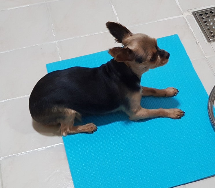  아브라카다브라