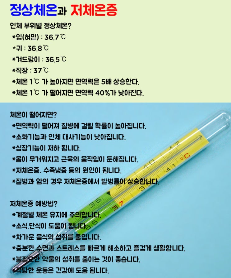  몸을 항상 따뜻하게 하자