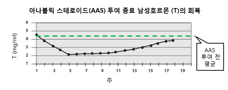  아나볼릭 스테로이드 중단 후에도 근육을 유지할 수 있을까?