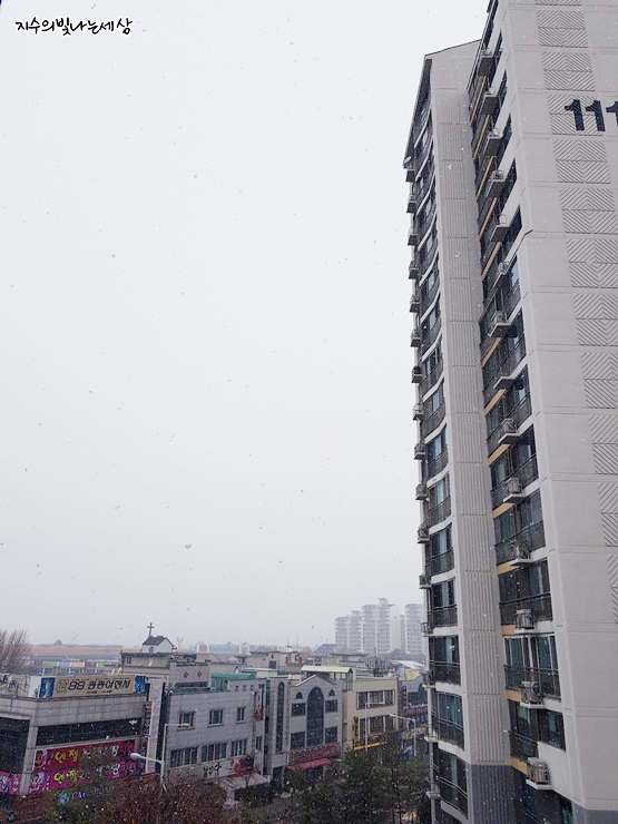  광주 함박눈 날씨 엄청 춥네요!