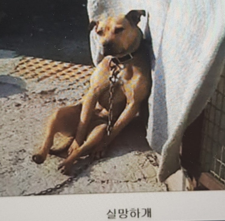  중개실무 주위토지 통행권 #104 맹지에 길 내기