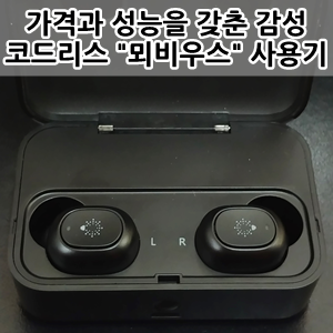  사운드바이감성 뫼비우스 코드리스 이어폰 사용후기 -  Sound By Gamsung MOEBIUS Cordless Earphone Review