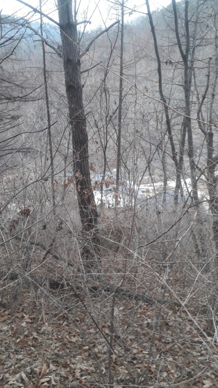 겨울산
