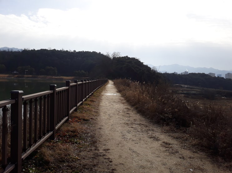  사주 상담할때~