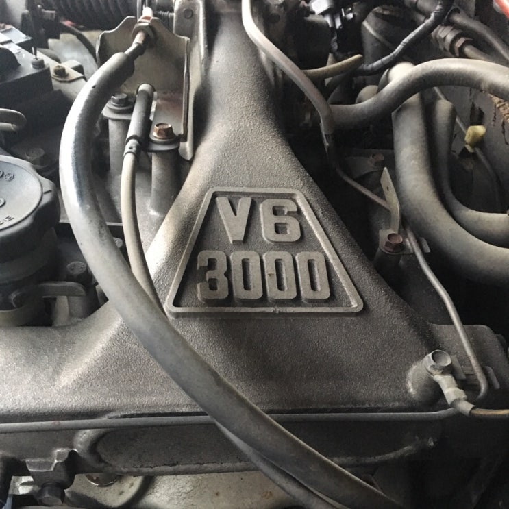  V6