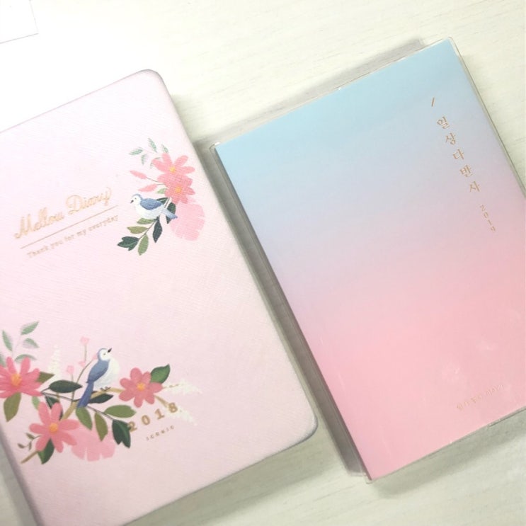  그저 그런 평범한 일상 *_*