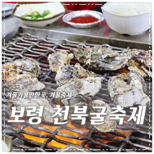  보령 천북굴축제 천북굴단지 정말 맛있어( 축제기간, 가격 有 )