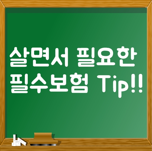  살아가는데 필수보험 어떤게 있을까요?