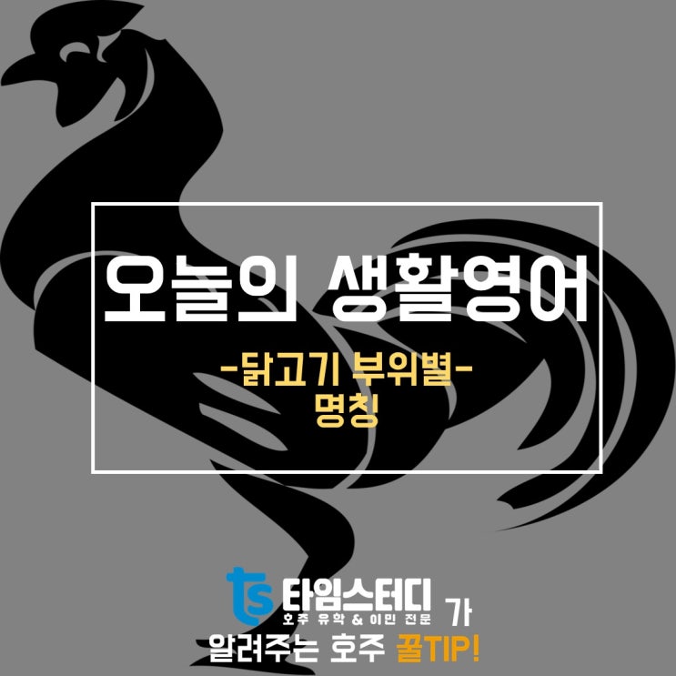  [생활영어표현]닭다리는 영어로 뭐다? 닭고기 영어 명칭