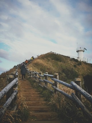  제주도 겨울