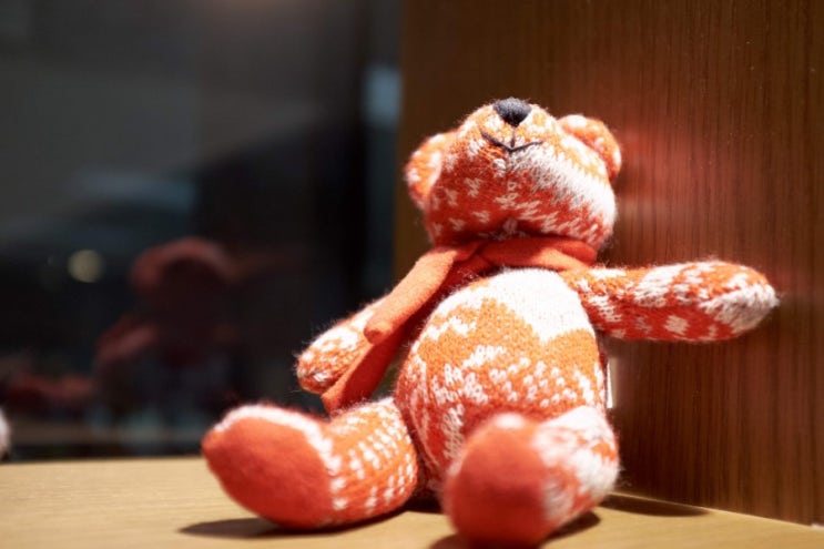  곰인형 (x100t)