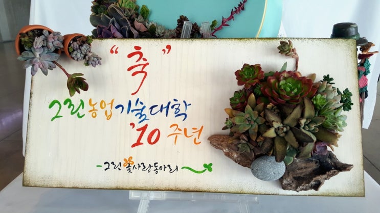  화성시 그린농업기술대학 10주년 기념행사 및 다육이아트