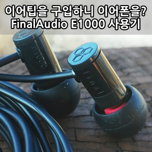 파이널 E1000 유선이어폰 사용후기 -  FinalAudio Final e1000 Review