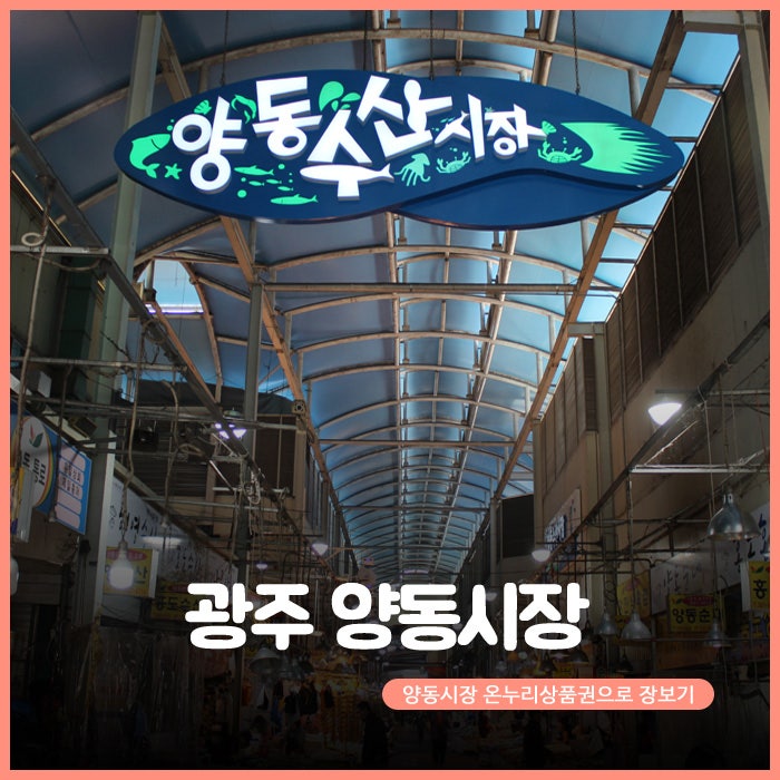 광주 양동시장 온누리상품권으로 장보기