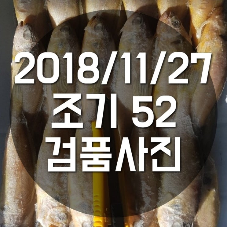 밝은무역 냉동수산물 2018/11/27 조기 50/52 검품사진