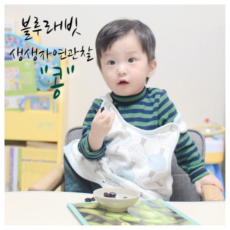  촉감놀이와 함께 생생자연관찰 먹고 만져보며 배워요