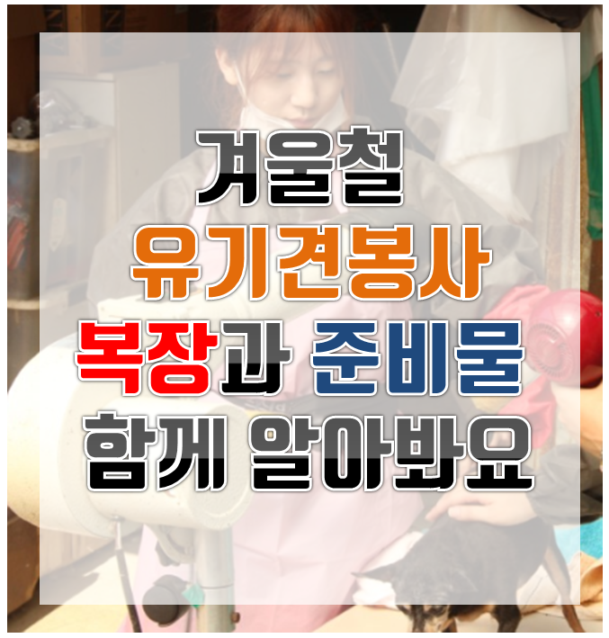  겨울철 유기견 봉사하면서 필요한 복장과 준비물 함께 알아봐요!