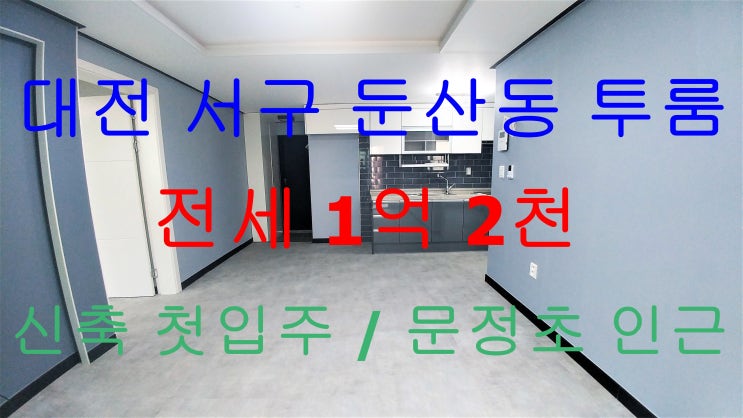  둔산동신축첫입주/거실큰투룸/문정초인근