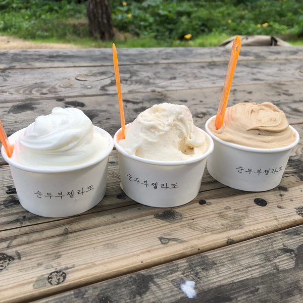  강릉 순두부아이스크림? 순두부젤라또 초당소나무집!