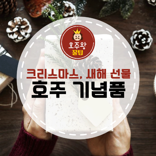  (호주생활) 호주 기념품 / 크리스마스 선물!