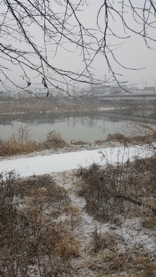 흰 눈 사이로~~출근하는 길 흰 눈 사이로~~출근하는 길