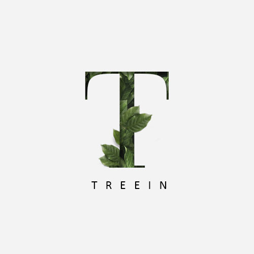  [트리인] 드림트리(DREAM TREE) TREEIN CI 디자인