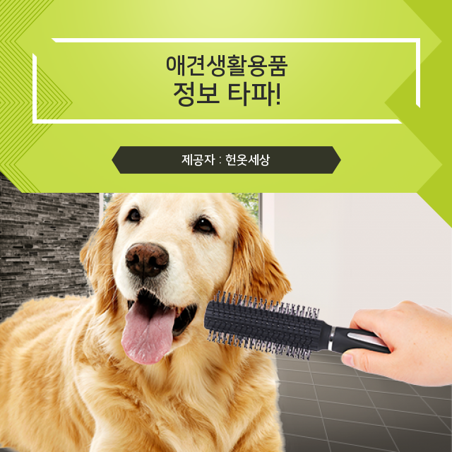  광주 헌옷팔기 애견생활용품 정보 한 번에!