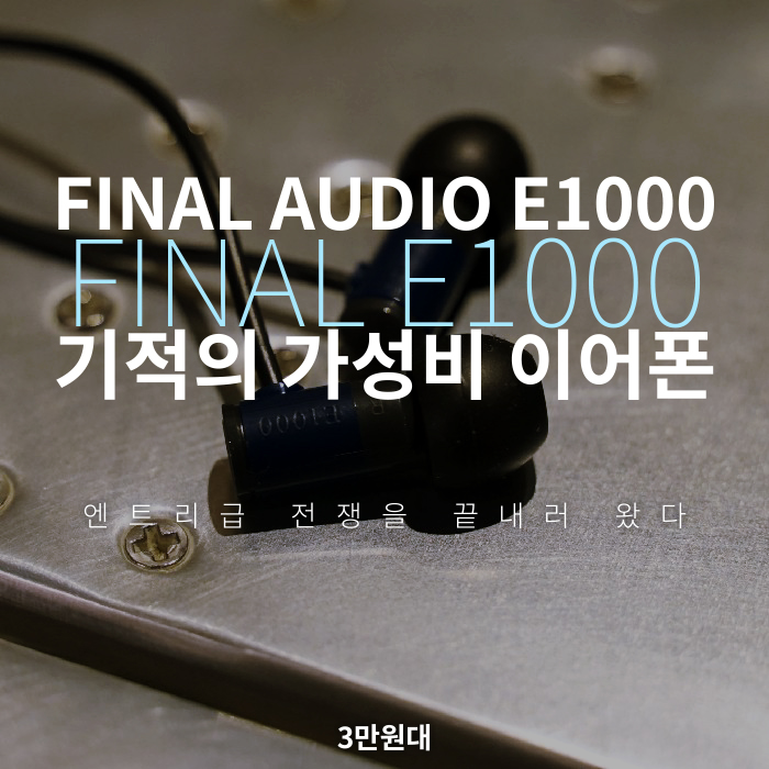  파이널 오디오의 가격 대비 출중한 성능의 이어폰  기적의 출시가 Final Audio E1000 이어폰계의 통큰치킨 가성비 커널 이어폰 루릭 이어폰 파이널 E1000 삼만원 선물용