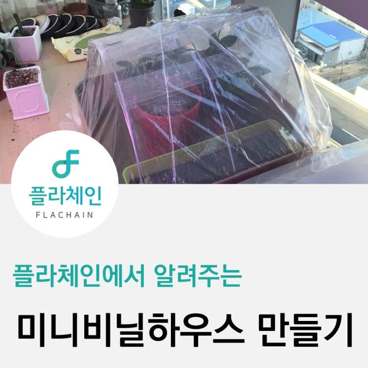  [플라체인]미니비닐하우스 제작하기 2