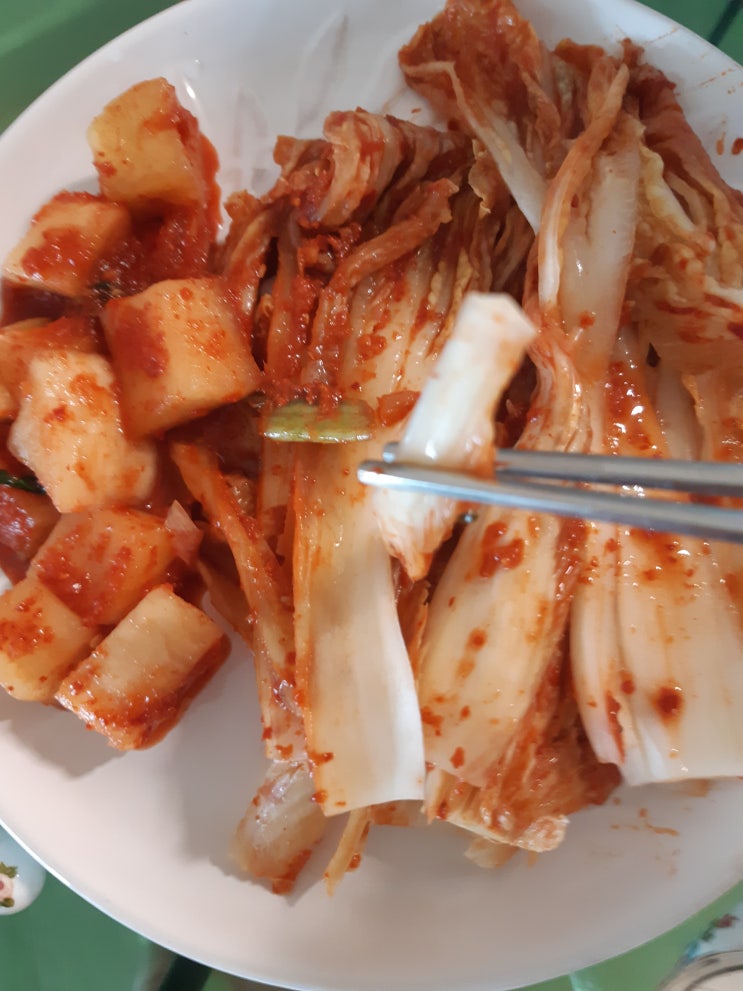  세계 5대 건강식품, 김치에 대해 알아볼까요