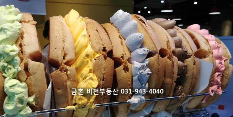  파주 금촌 날씨, 지난 일상, 이마트 트레이더스 홍대 와플