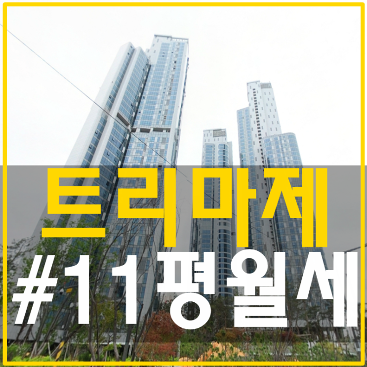  트리마제 11평 월세 내가살고싶은집