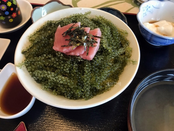  [오키나와카페]바다포도 덮밥과 흑설탕 빙수, 바다전망을 한방에 즐기는 카페