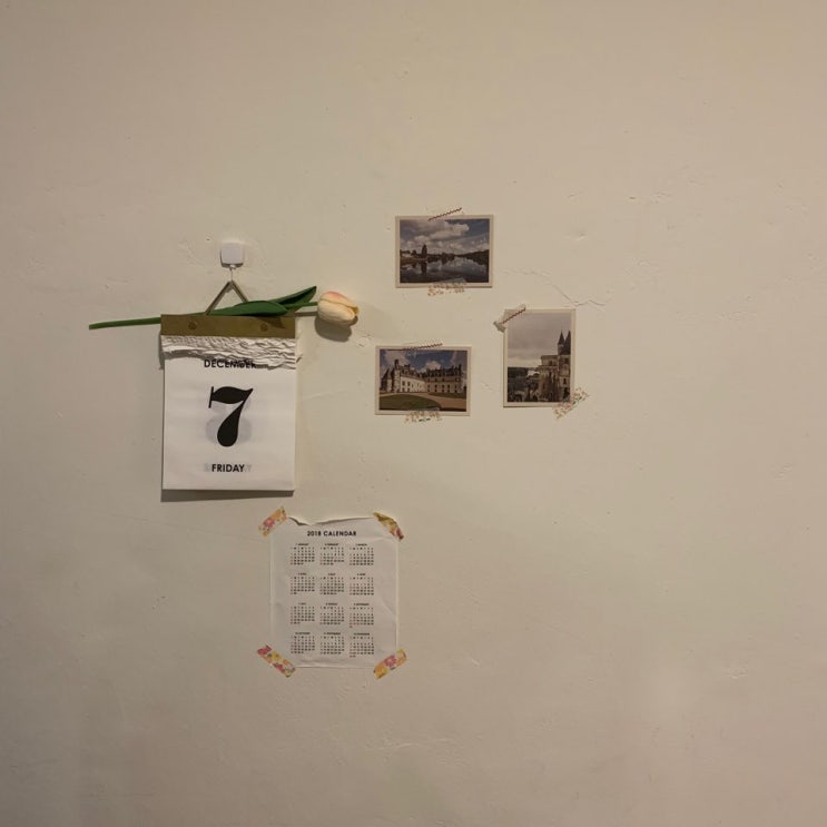  찌니의일상 happy birthday