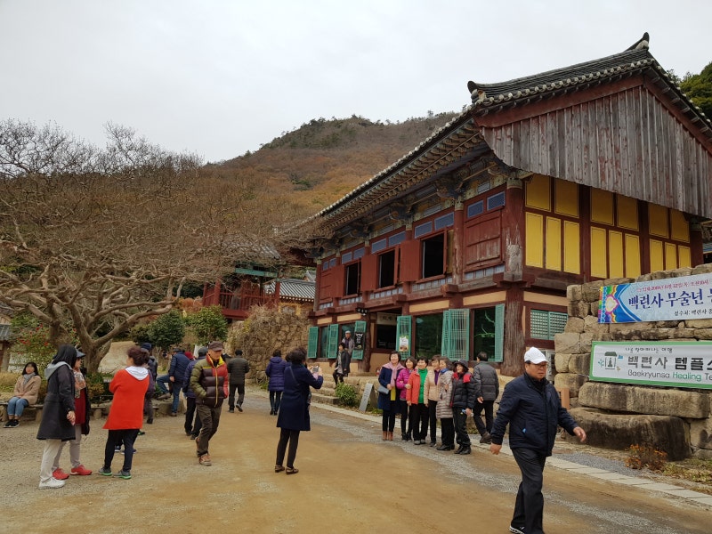 동백여행사 강진맛기행 1박2일 여행 후기 : 네이버 블로그