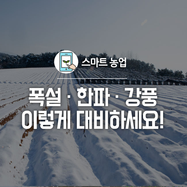 <b>폭설</b>·한파·<b>강풍</b> 이렇게 대비하세요.