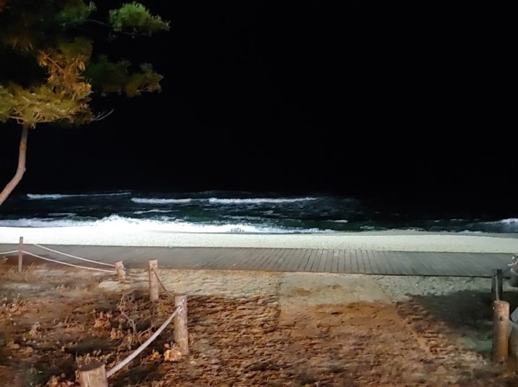  얼어죽었던 강릉 2박 3일 여행, 겨울바다 보며 냉동인간체험.