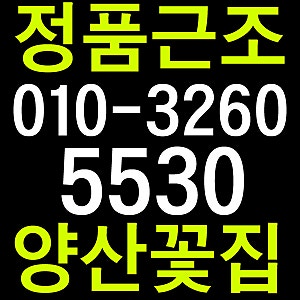 양산신세계요양병원장례식장[정품]근조화환 화환 조화 꽃집 꽃배달
