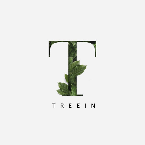 [트리인] 드림트리(DREAM TREE) TREEIN CI 디자인