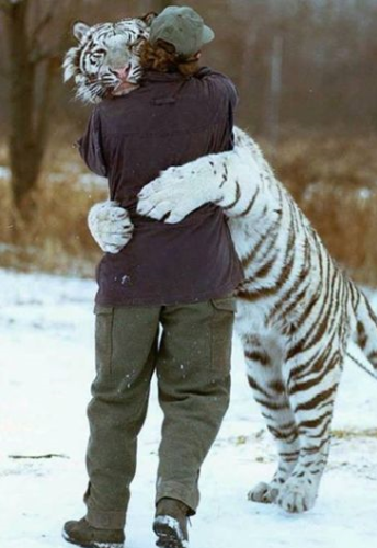 오늘은 12월 14일 허그데이(Hug day), 혹시 안아주고 싶은 사람이 있나요??