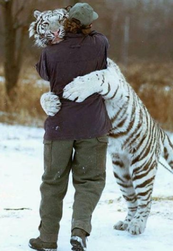  오늘은 12월 14일 허그데이(Hug day), 혹시 안아주고 싶은 사람이 있나요??
