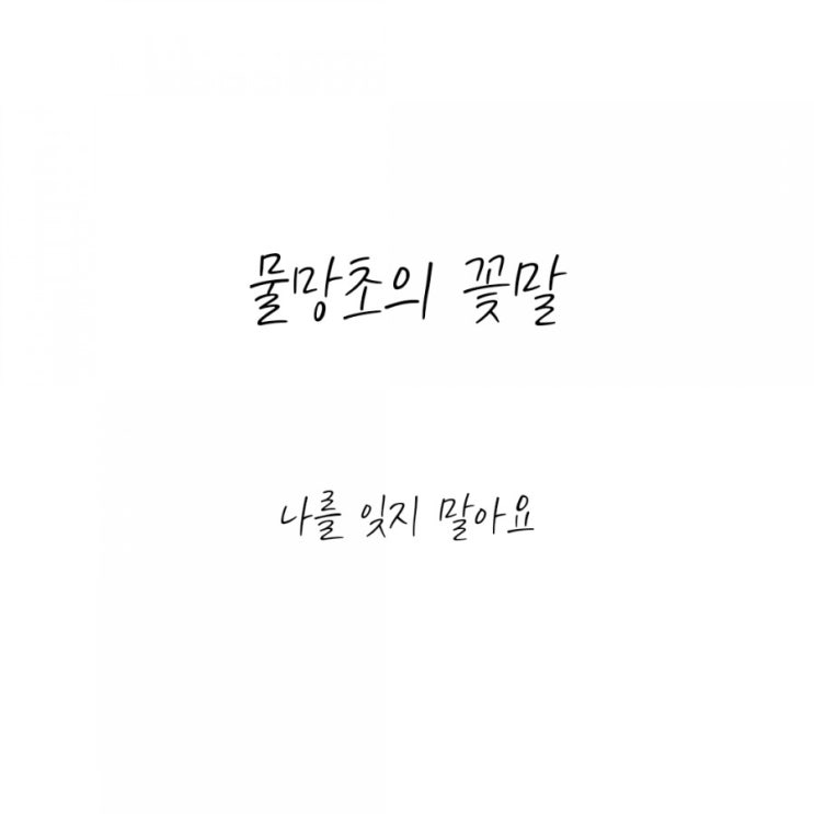  [비투비 빙의글 / 정일훈 빙의글] 물망초의 꽃말