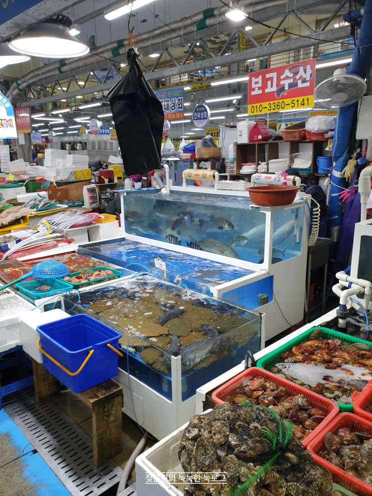 군산수산물종합센터 말고 서천시장에서 회뜨기 군산수산물종합센터 말고 서천시장에서 회뜨기