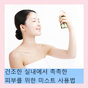  건조한 실내에서 촉촉한 피부를 위한 미스트 사용법