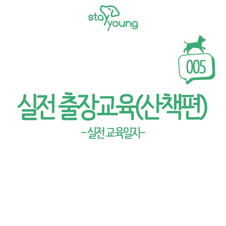  강아지 출장훈련 산책 교육은 어떻게 해야 할까?