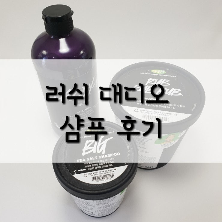 러쉬 대디오 샴푸 3개월 써본 솔직 후기