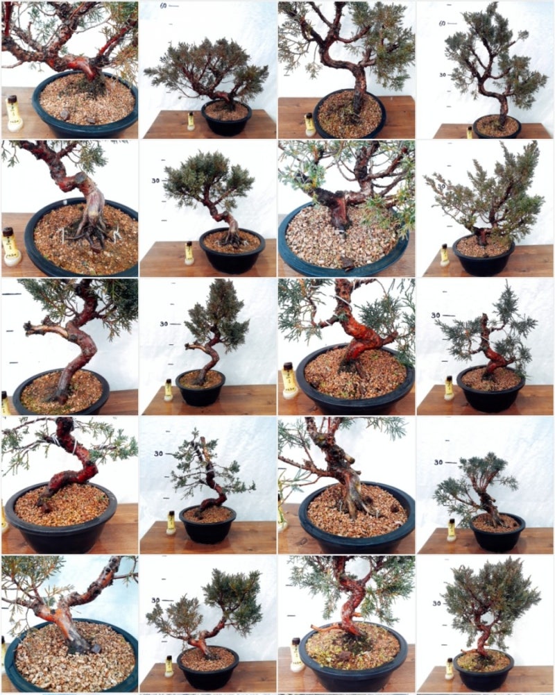 판매마감되었습니다.] 